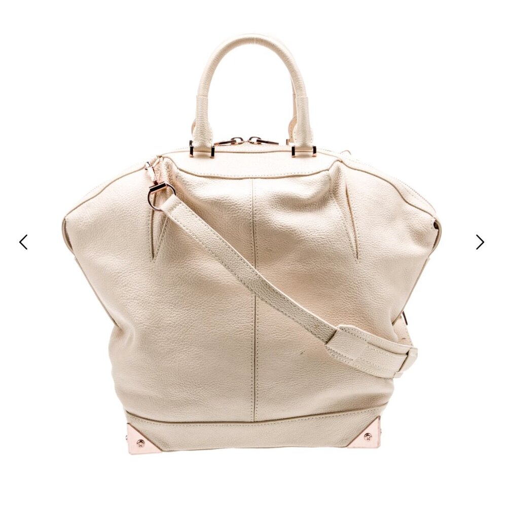 Price Drop! Alexander Wang Leather Emile Bag